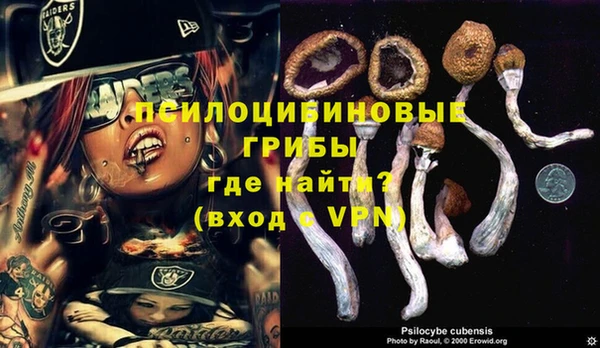 СК Новодвинск