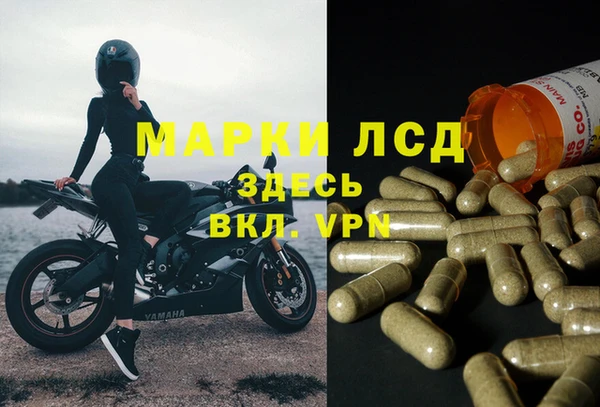 стаф Нягань
